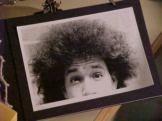 jamieafro1.jpg